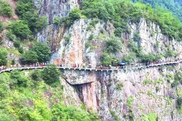 史小坑的爆笑生活12